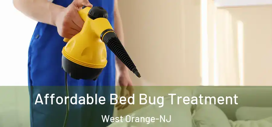 Affordable Bed Bug Treatment West Orange-NJ