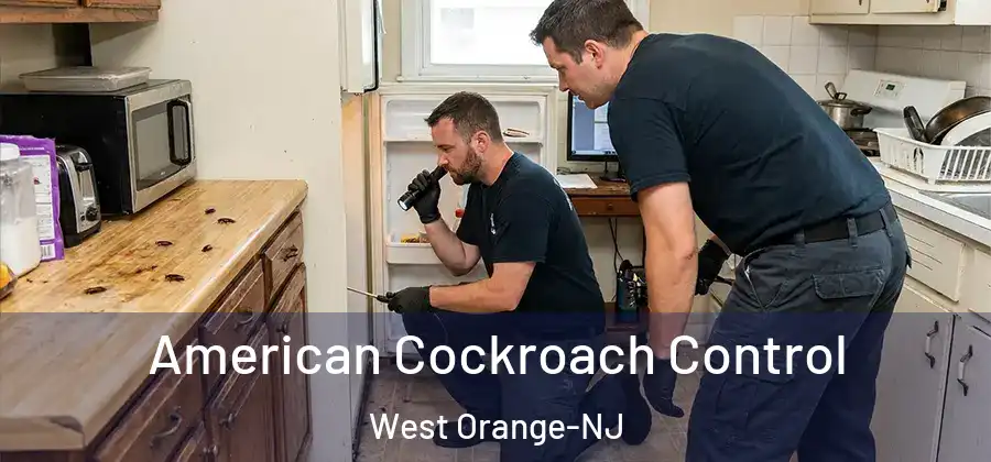  American Cockroach Control West Orange-NJ