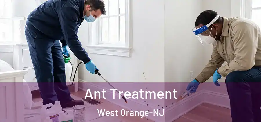 Ant Treatment West Orange-NJ
