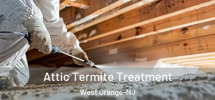 Attic Termite Treatment West Orange-NJ