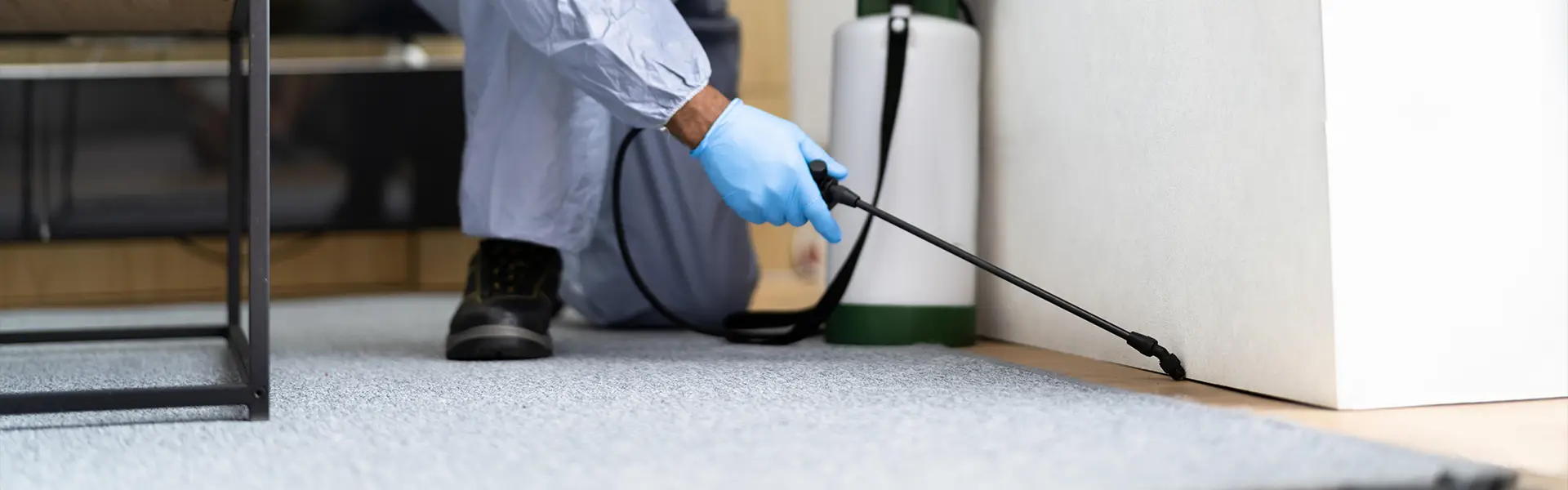 Bed Bug Pest Control Cost