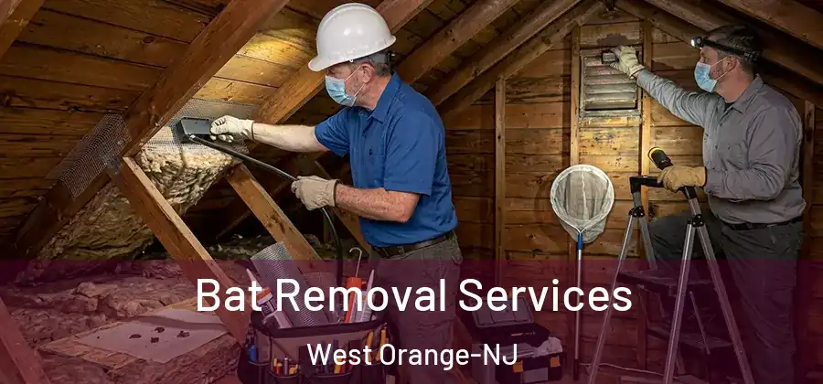  Bat Removal Services West Orange-NJ