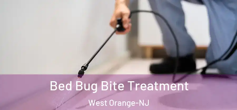  Bed Bug Bite Treatment West Orange-NJ