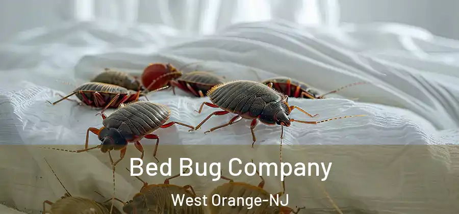 Bed Bug Company West Orange-NJ