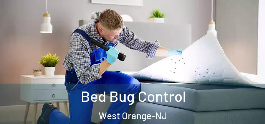 Bed Bug Control West Orange-NJ
