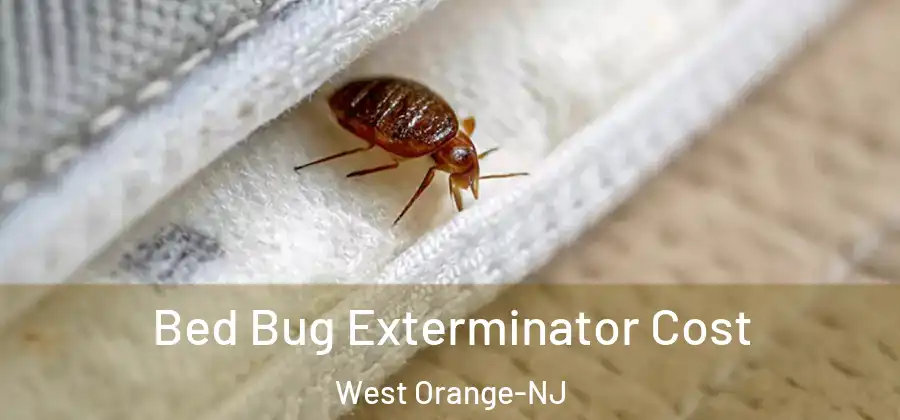 Bed Bug Exterminator Cost West Orange-NJ