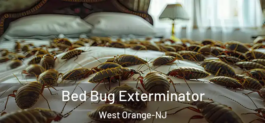 Bed Bug Exterminator West Orange-NJ