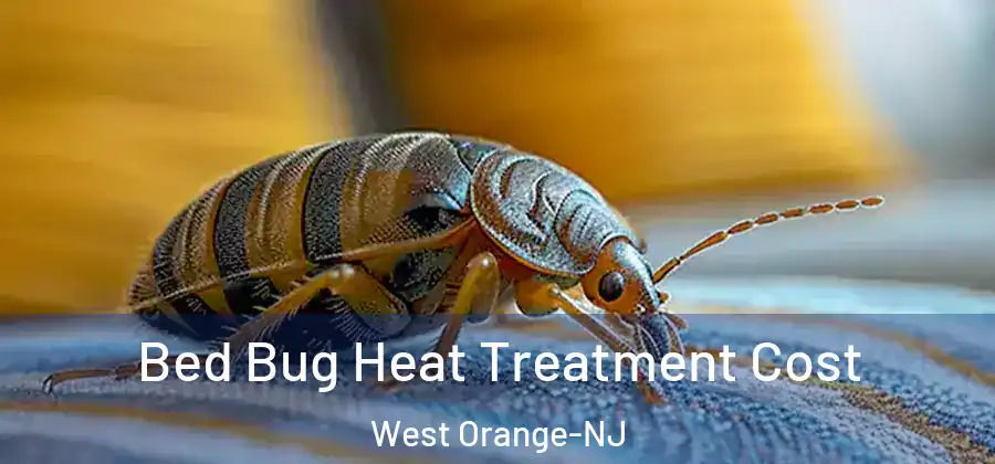 Bed Bug Heat Treatment Cost West Orange-NJ