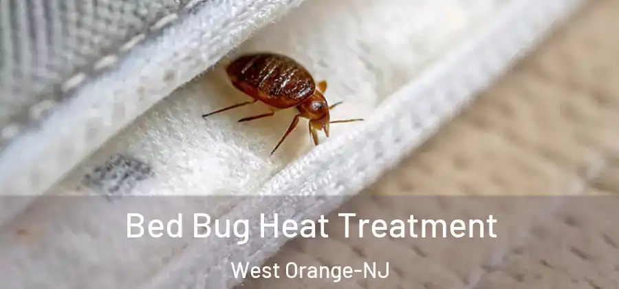 Bed Bug Heat Treatment West Orange-NJ