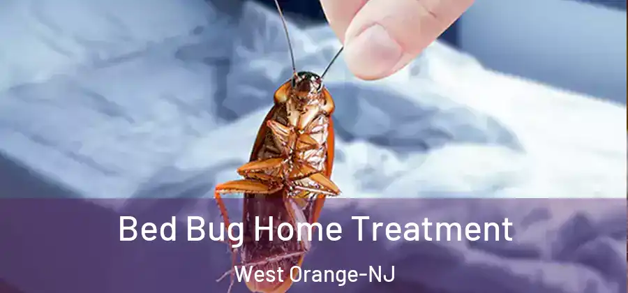Bed Bug Home Treatment West Orange-NJ