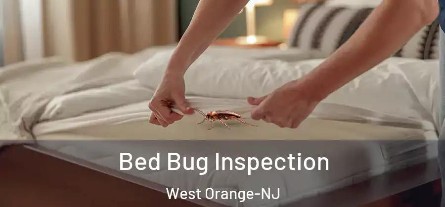  Bed Bug Inspection West Orange-NJ