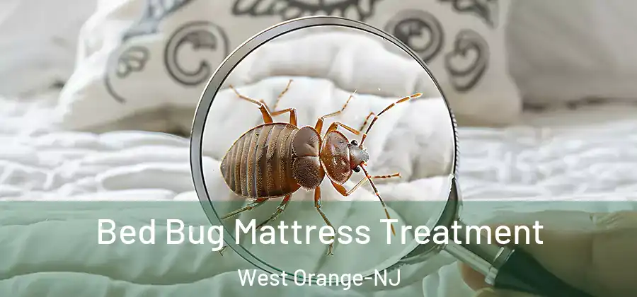 Bed Bug Mattress Treatment West Orange-NJ