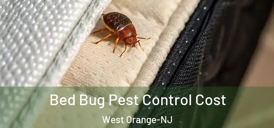 Bed Bug Pest Control Cost West Orange-NJ