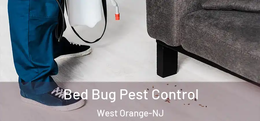 Bed Bug Pest Control West Orange-NJ