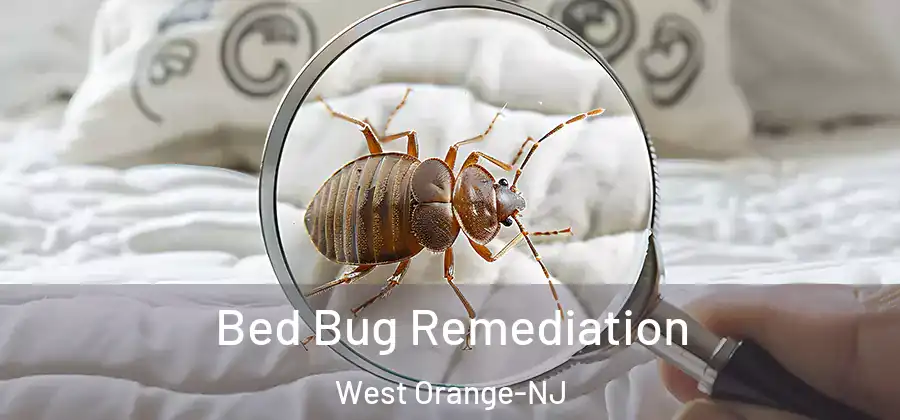  Bed Bug Remediation West Orange-NJ