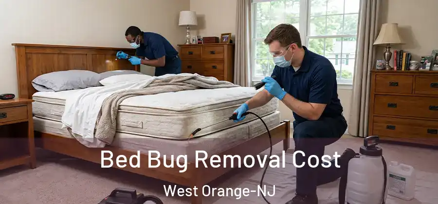  Bed Bug Removal Cost West Orange-NJ