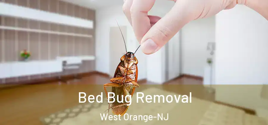 Bed Bug Removal West Orange-NJ