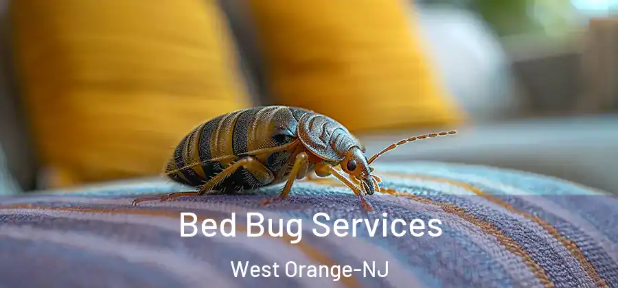Bed Bug Services West Orange-NJ
