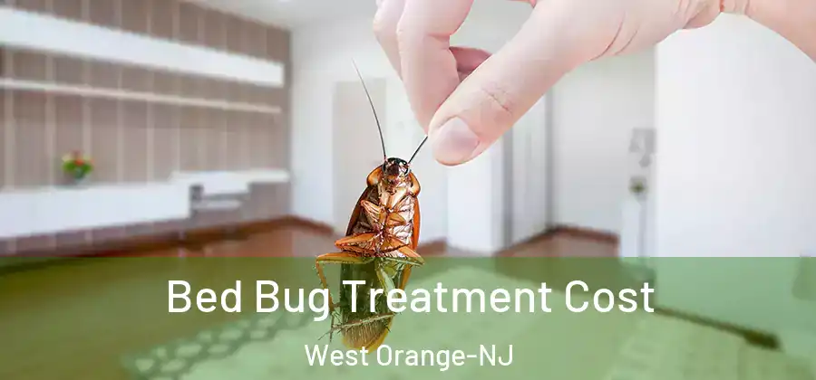 Bed Bug Treatment Cost West Orange-NJ