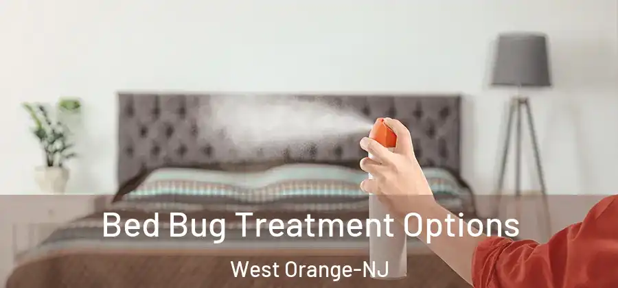  Bed Bug Treatment Options West Orange-NJ
