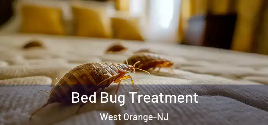 Bed Bug Treatment West Orange-NJ