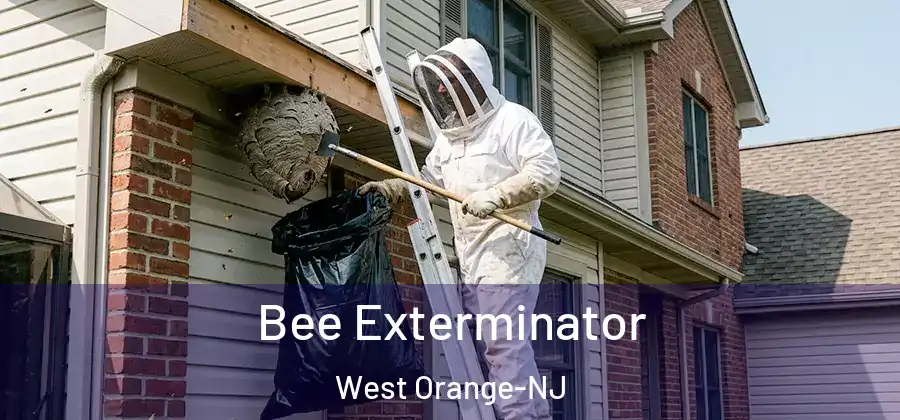 Bee Exterminator West Orange-NJ