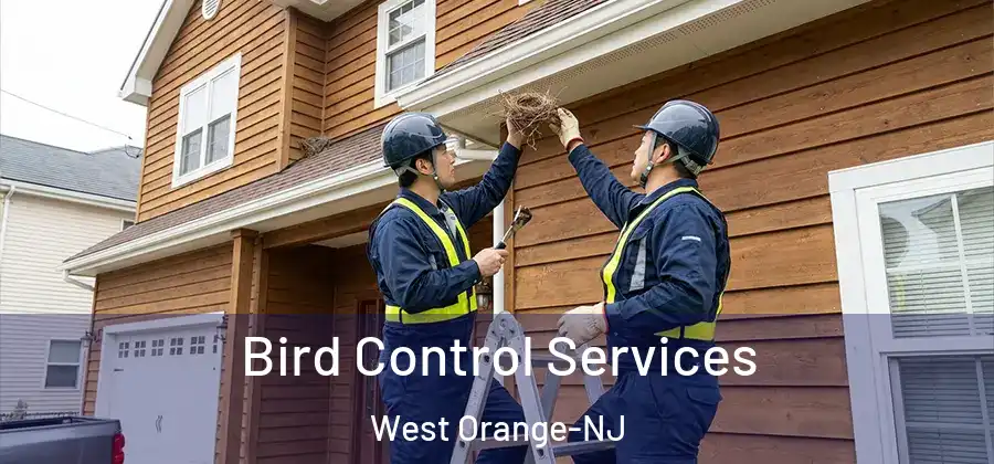Bird Control Services West Orange-NJ
