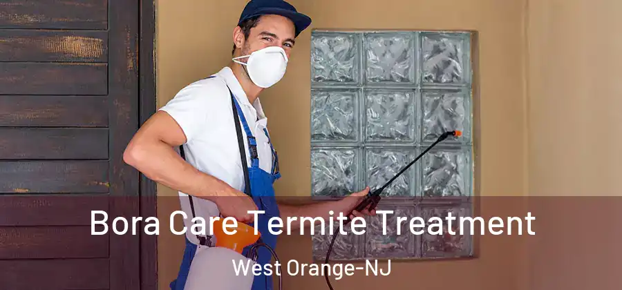 Bora Care Termite Treatment West Orange-NJ