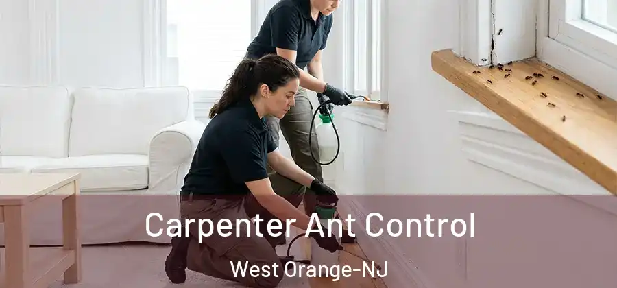 Carpenter Ant Control West Orange-NJ