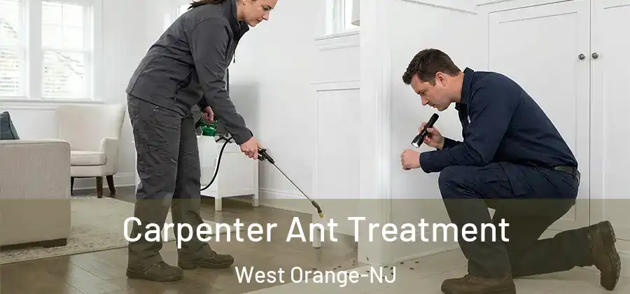 Carpenter Ant Treatment West Orange-NJ