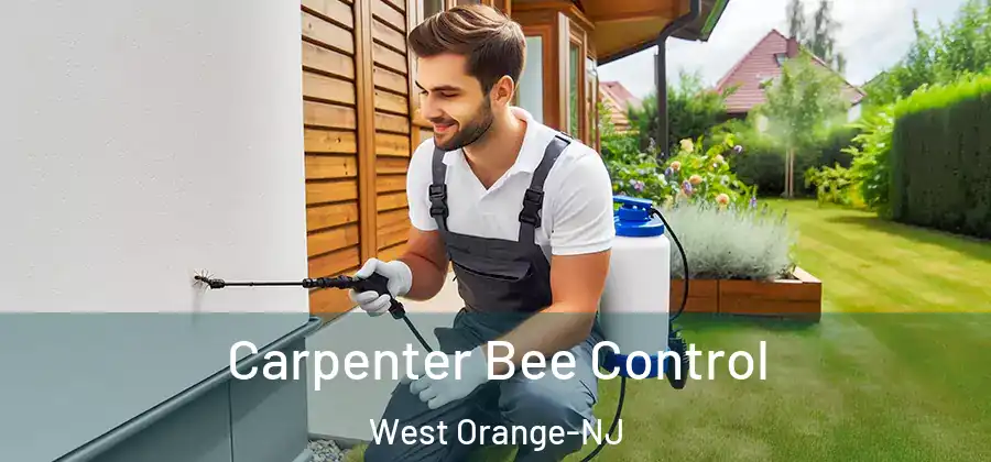 Carpenter Bee Control West Orange-NJ