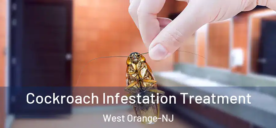 Cockroach Infestation Treatment West Orange-NJ