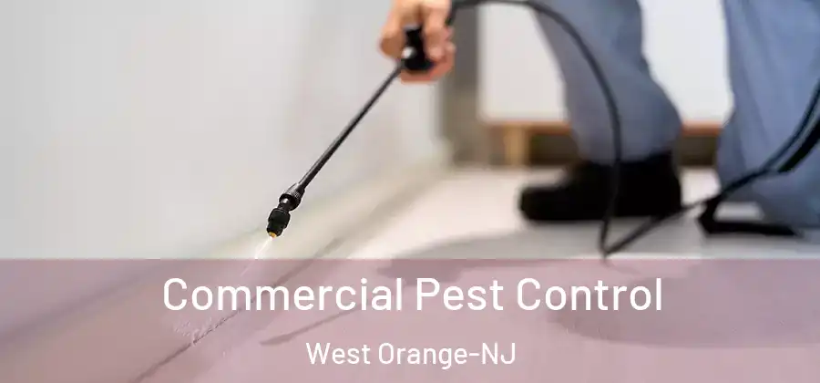 Commercial Pest Control West Orange-NJ