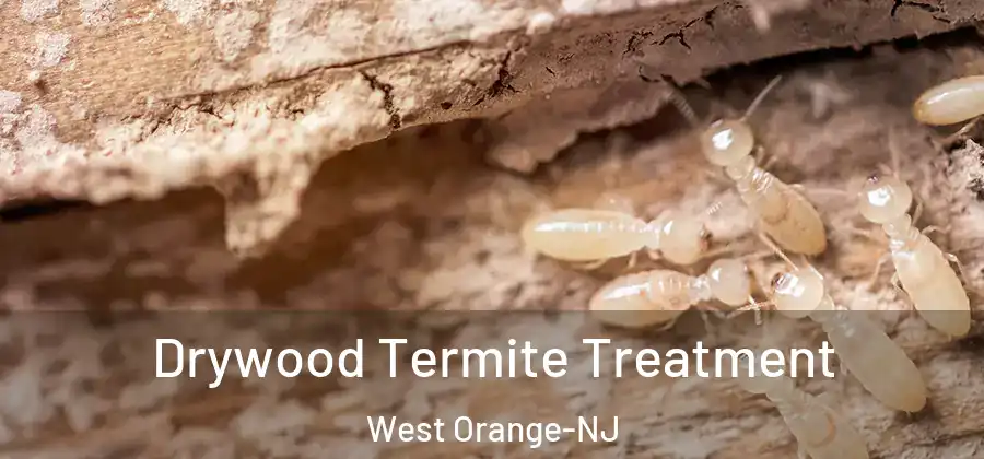Drywood Termite Treatment West Orange-NJ