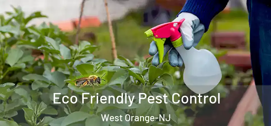 Eco Friendly Pest Control West Orange-NJ