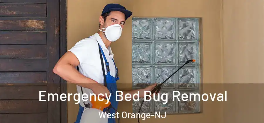 Emergency Bed Bug Removal West Orange-NJ