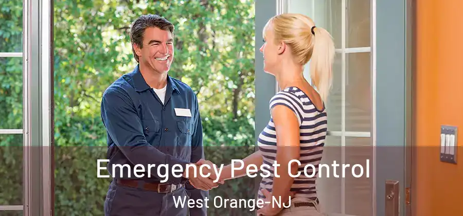  Emergency Pest Control West Orange-NJ
