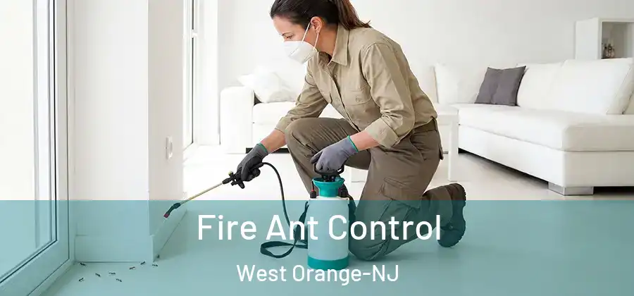 Fire Ant Control West Orange-NJ