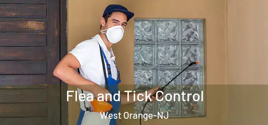 Flea and Tick Control West Orange-NJ