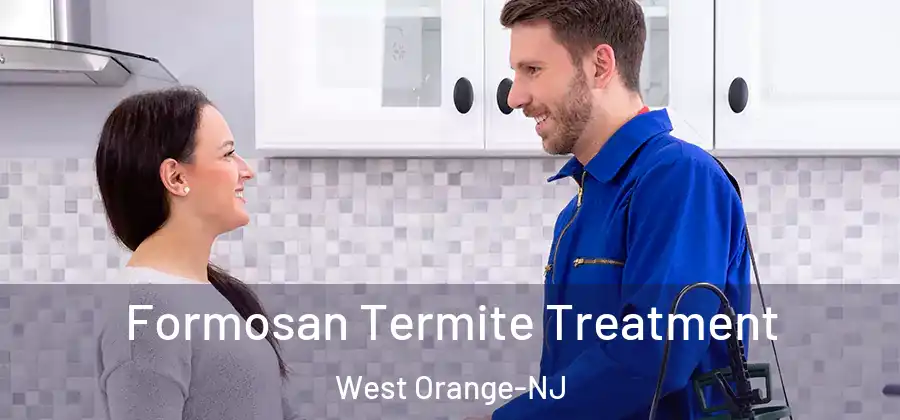 Formosan Termite Treatment West Orange-NJ