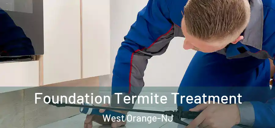 Foundation Termite Treatment West Orange-NJ