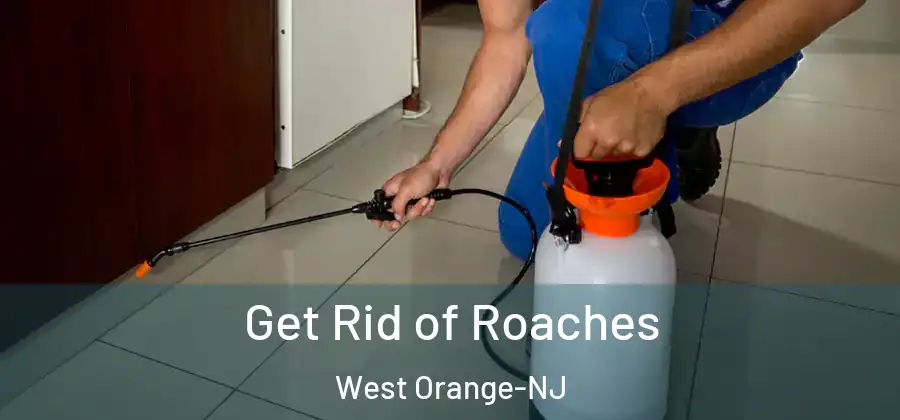 Get Rid of Roaches West Orange-NJ