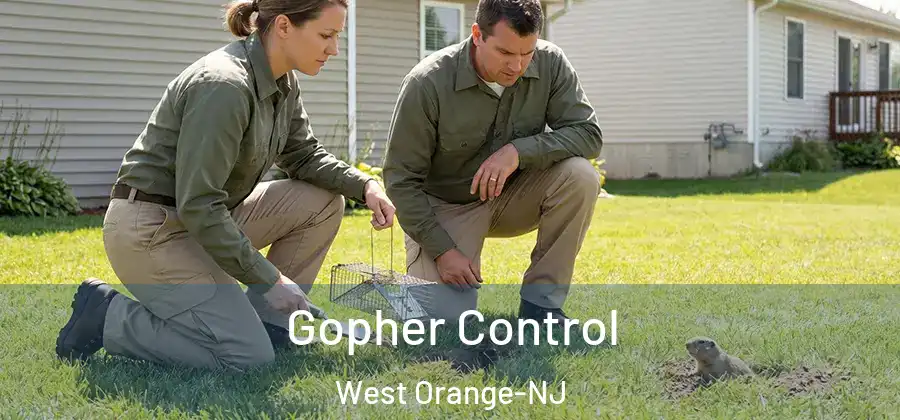 Gopher Control West Orange-NJ