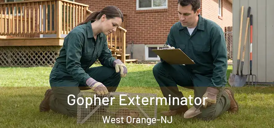 Gopher Exterminator West Orange-NJ