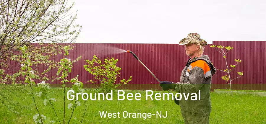  Ground Bee Removal West Orange-NJ