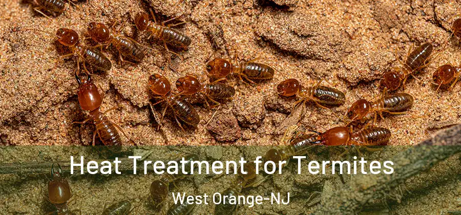 Heat Treatment for Termites West Orange-NJ