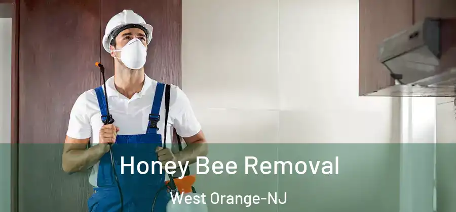 Honey Bee Removal West Orange-NJ