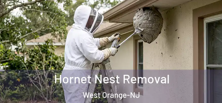 Hornet Nest Removal West Orange-NJ