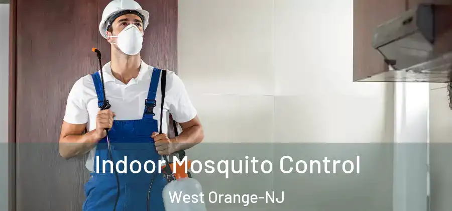 Indoor Mosquito Control West Orange-NJ