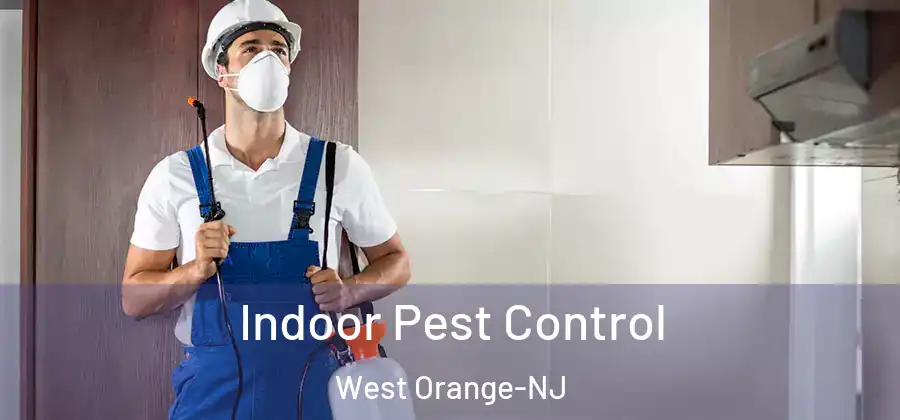 Indoor Pest Control West Orange-NJ